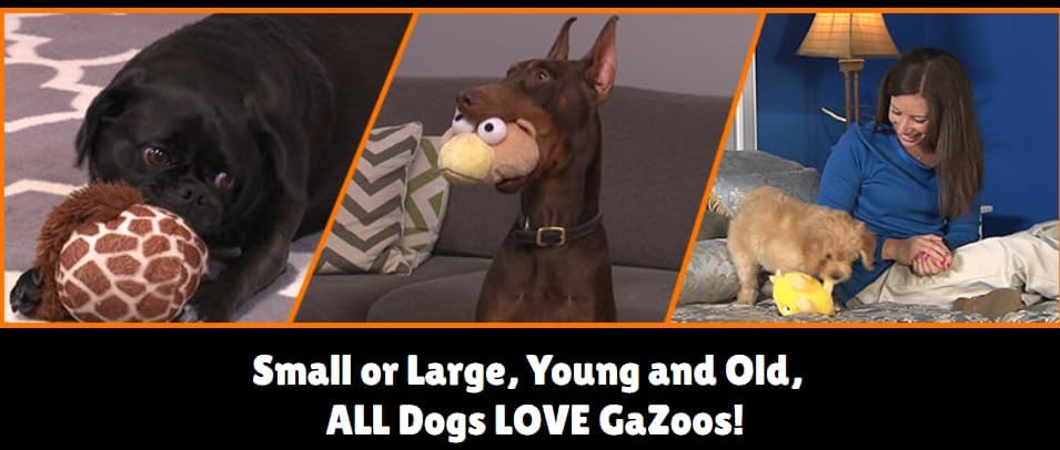 Interactive Dog Toy (Beau Bunny), Motion Activated Bouncing Talking Pet Toy, Exercise and Entertainment for Dogs and Puppies - Image 6