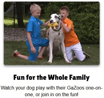 Interactive Dog Toy (Beau Bunny), Motion Activated Bouncing Talking Pet Toy, Exercise and Entertainment for Dogs and Puppies - Image 3