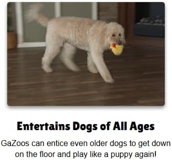 Interactive Dog Toy (Beau Bunny), Motion Activated Bouncing Talking Pet Toy, Exercise and Entertainment for Dogs and Puppies - Image 5