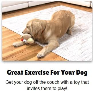 Interactive Dog Toy (Beau Bunny), Motion Activated Bouncing Talking Pet Toy, Exercise and Entertainment for Dogs and Puppies - Image 4