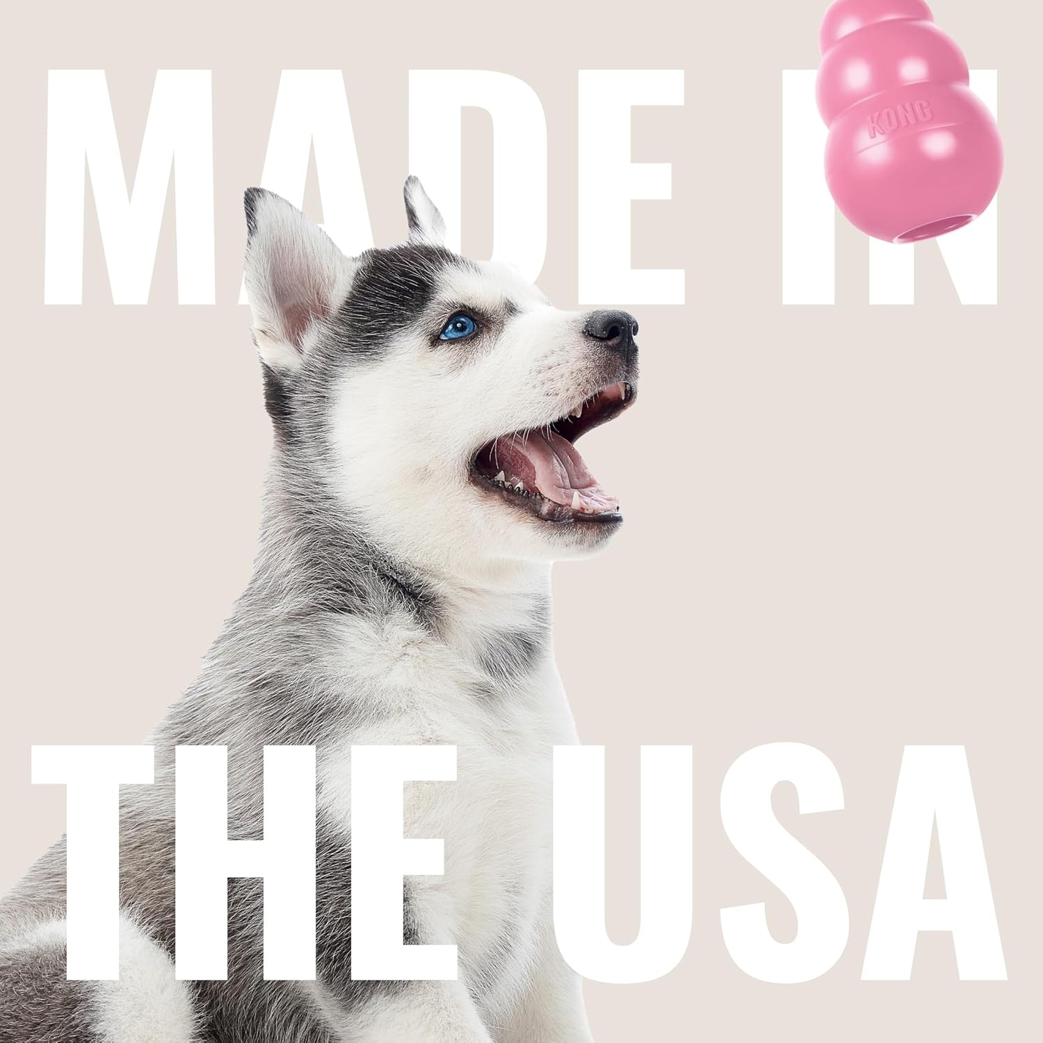 KONG - Puppy Toy Natural Teething Rubber - Fun to Chew, Chase and Fetch - for Small Puppies - Pink - Image 6