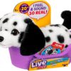 Little Live Pets My Really Real Puppy Mini Pepper The Dalmatian, Interactive Plush Toy with Basket, 20+ Sounds and Reactions, Puppy Toys for Kids